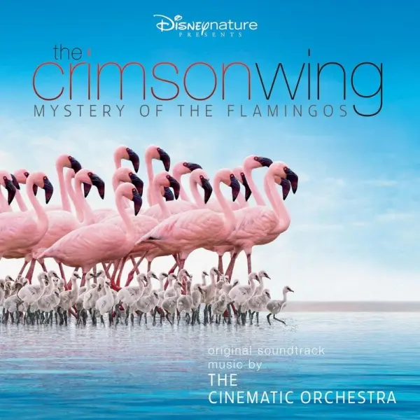 Titelbild des Dokumentarfilms „The Crimson Wing: Das Geheimnis der Flamingos“ Titelbild des Dokumentarfilms „The Crimson Wing: Das Geheimnis der Flamingos“