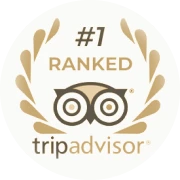 Altezza Travel – Gewinner der Tripadvisor Travellers' Choice 2026 Auszeichnung