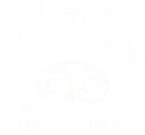 Altezza Travel auf Tripadvisor auf Platz 1