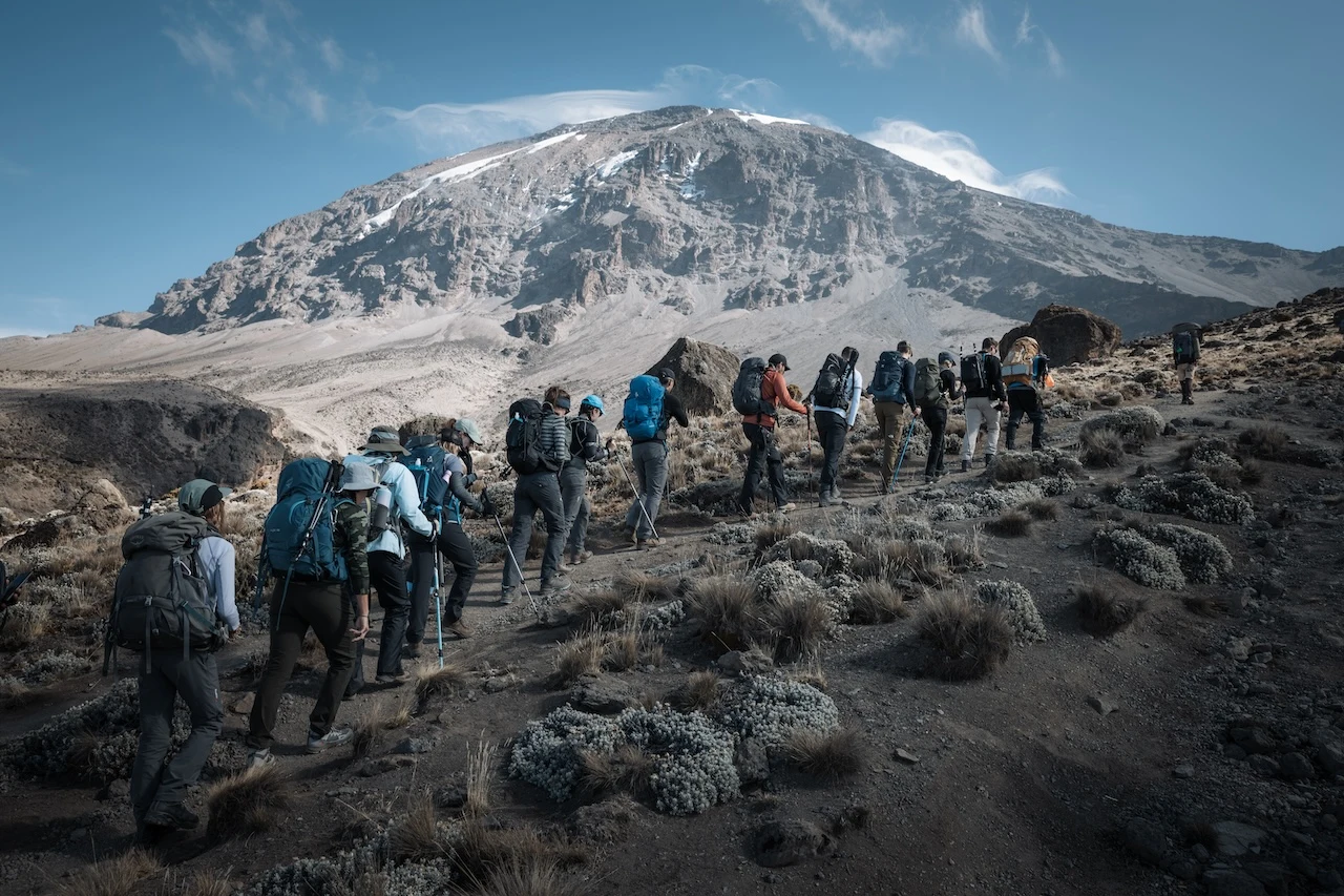 Altezza-Trekker auf einer gemeinsamen Kilimandscharo-Reise