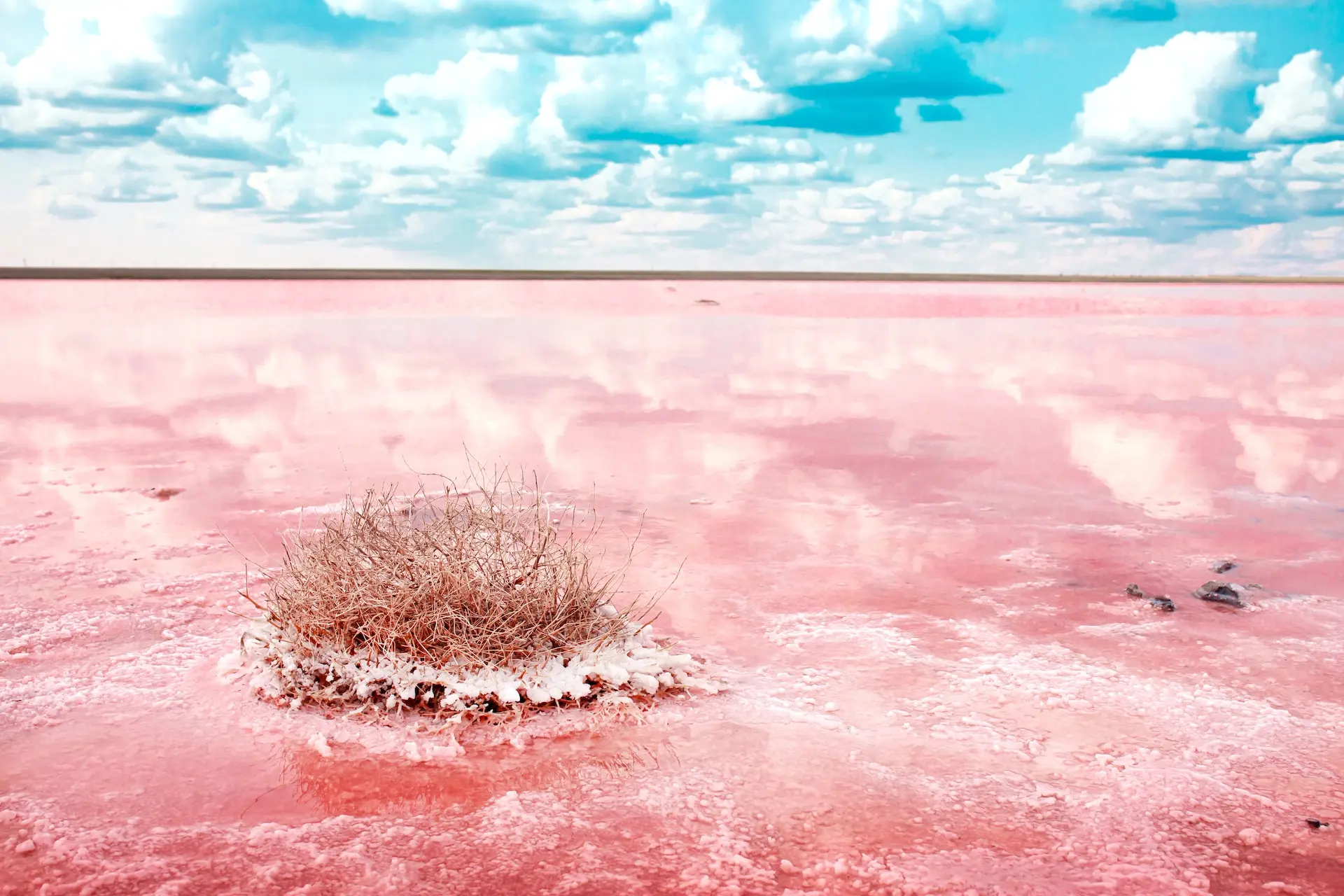 In der Trockenzeit färbt sich der See rot und wird von Salz überzogen. Foto: Vera Larina / Shutterstock