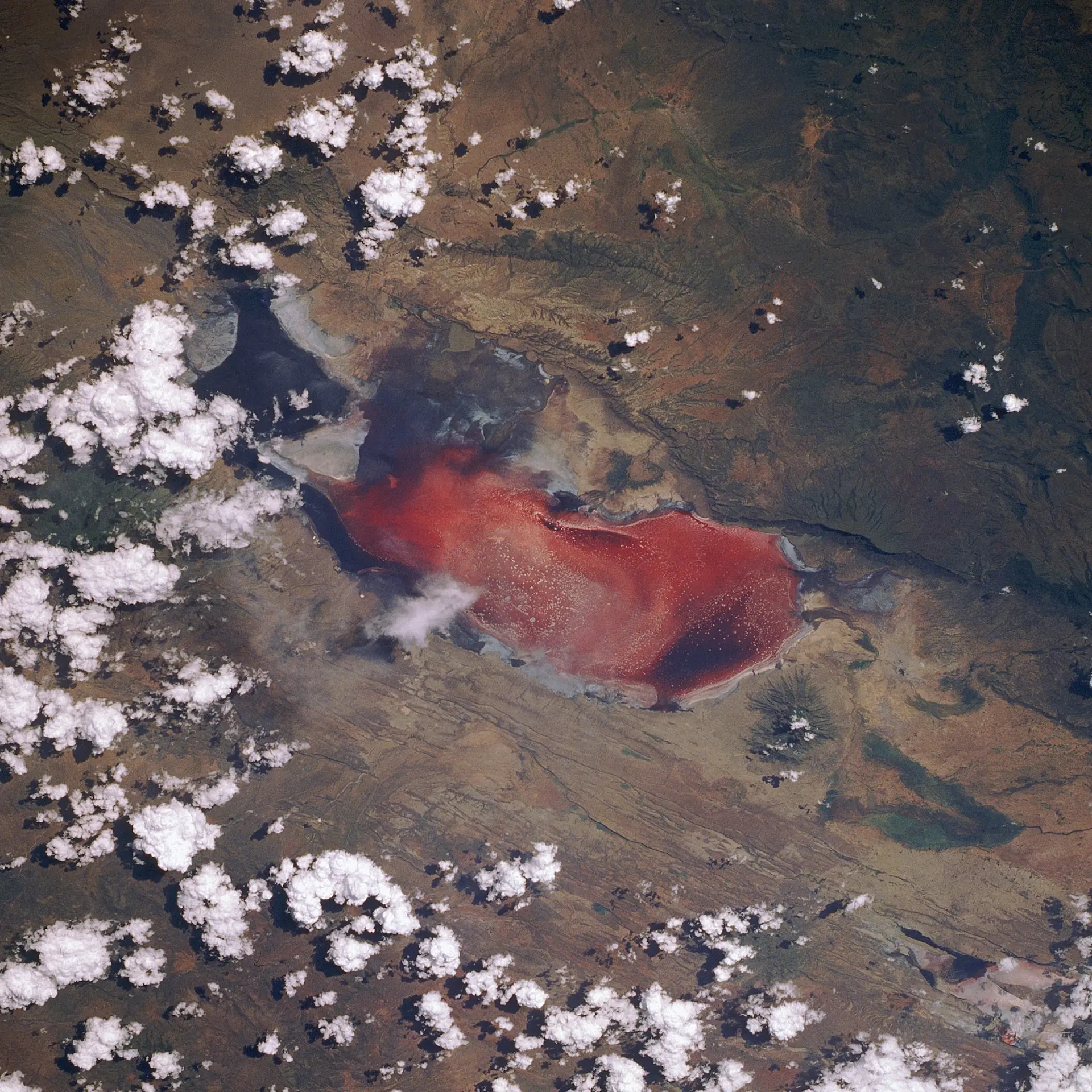 Der Natronsee, manchmal als „tödlicher roter See" bezeichnet, aufgenommen vom Space Shuttle Discovery während der Mission STS-29. Foto: NASA