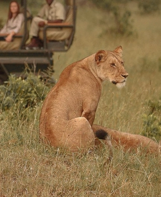 Serengeti-Nationalpark