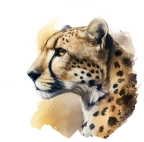 Gepard