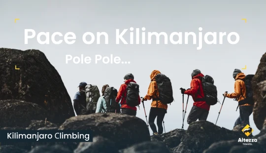 Das richtige Tempo am Kilimandscharo | Altezza Travel