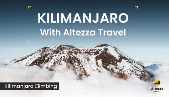 Kilimandscharo-Besteigung: wichtige Informationen | Altezza Travel