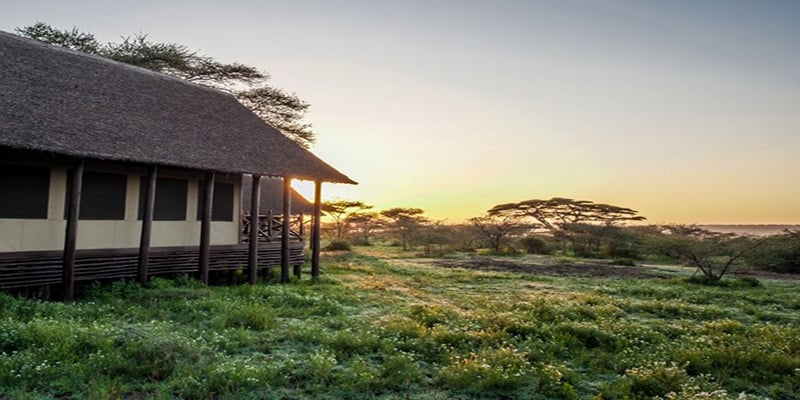 Lake Ndutu Luxury Tented Lodge