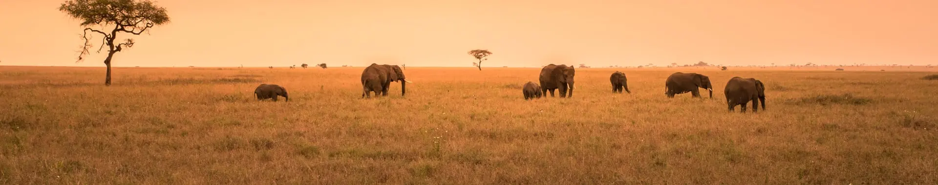 Nyerere-Nationalpark