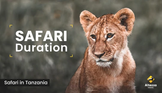 Safariplanung: Wie viele Tage brauchen Sie?