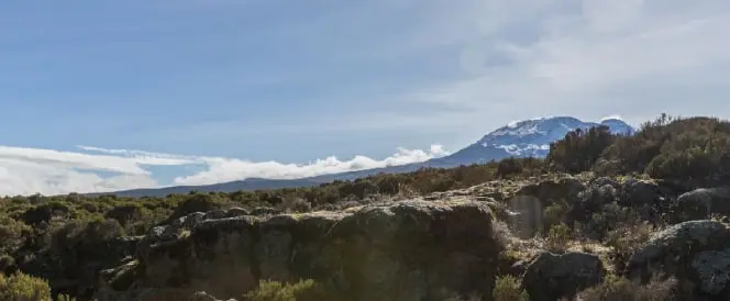 Marangu-Route – Tag 3 – Trekking von Mandara Hut nach Horombo Hut