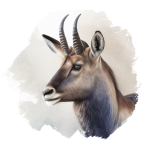 Wasserbock
