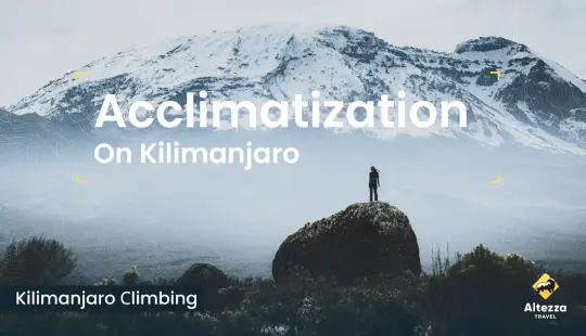 Akklimatisierung am Kilimandscharo | Altezza Travel