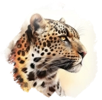 Leoparden