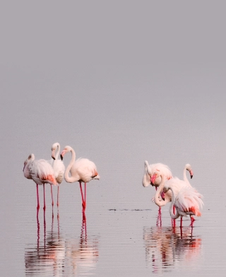 Lake Manyara