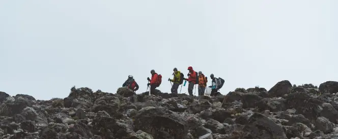 Aufstieg vom Kikilewa Camp zum Mawenzi Tarn Camp