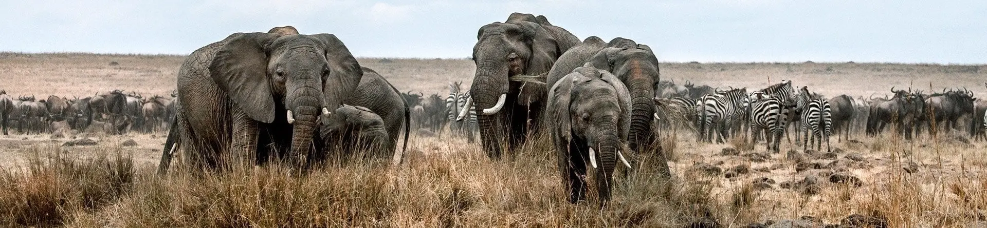 Tarangire-Nationalpark