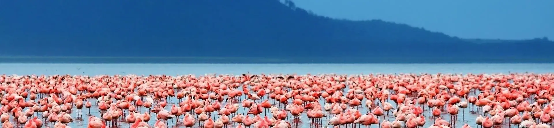 Lake Manyara Nationalpark