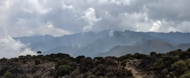 Aufstieg vom Umbwe Camp zum Barranco Camp