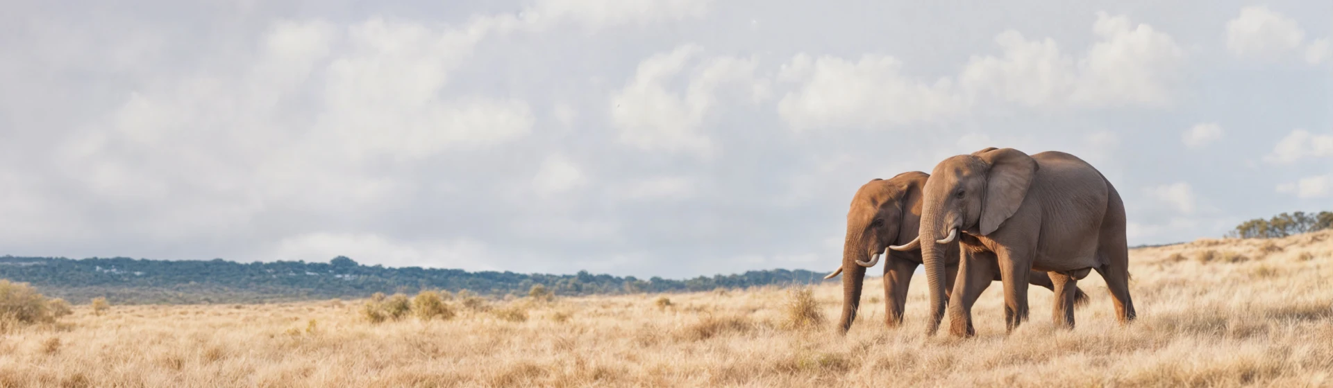 Tarangire-Nationalpark Tarangire-Nationalpark